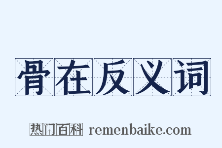 骨在反义词是什么意思的图片